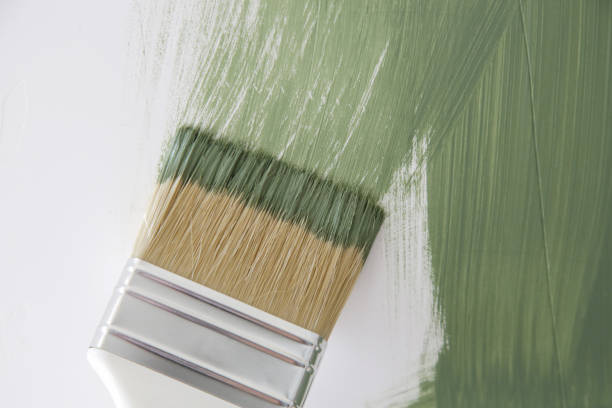 Best Mold Damage Restoration  in Moundville, AL