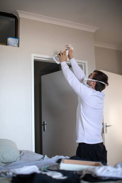 Best Basement Mold Removal  in Moundville, AL