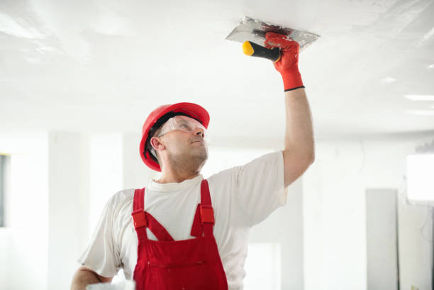 Professional Mold Removal in Moundville, AL