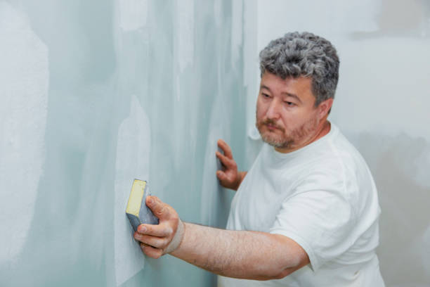 Forensic Mold Investigation in Moundville, AL