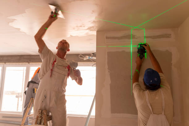 Best Emergency Mold Remediation  in Moundville, AL